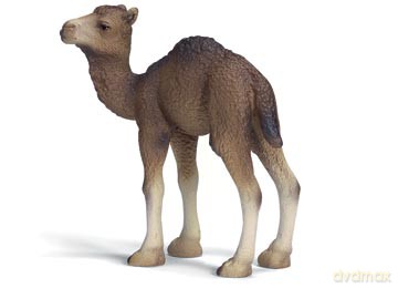 SCHLEICH DROMADER ŹREBIĘ 14356 [ZABAWKA]