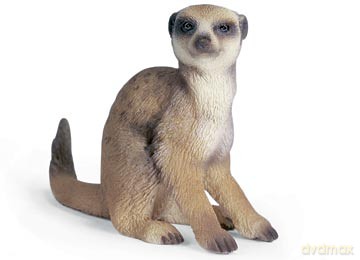 SCHLEICH SURYKATKA SIEDZĄCA 14362 [ZABAWKA]