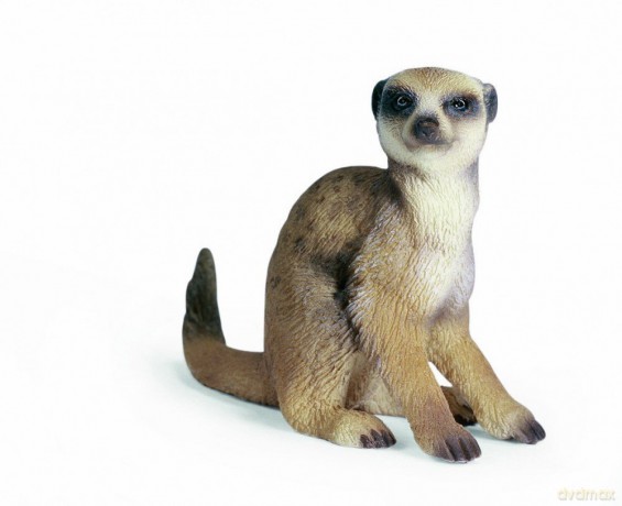 SCHLEICH SURYKATKA SIEDZĄCA 14362 [ZABAWKA]