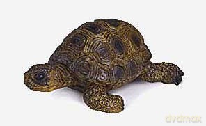 SCHLEICH ŻÓŁW 14404 [ZABAWKA]