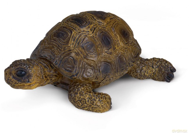 SCHLEICH ŻÓŁW 14404 [ZABAWKA]