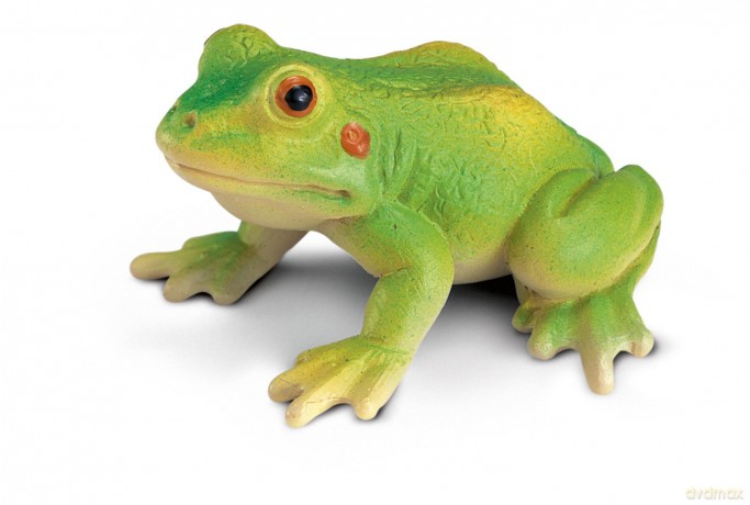 SCHLEICH ŻABA 14407 [ZABAWKA]