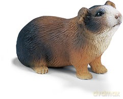 SCHLEICH ŚWINKA MORSKA 14417 [ZABAWKA]