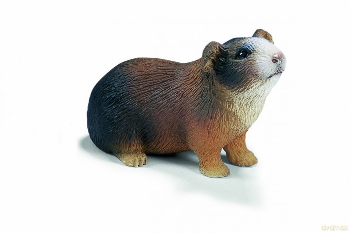 SCHLEICH ŚWINKA MORSKA 14417 [ZABAWKA]