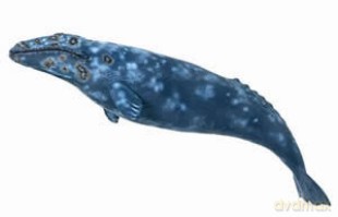 SCHLEICH WIELORYB SZARY 16082 [ZABAWKA]