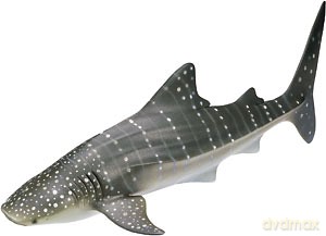 SCHLEICH REKIN WIELORYBI 28 cm 16089 [ZABAWKA]