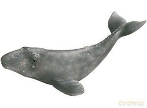 SCHLEICH WIELORYB SZARY SAMICA 16094 [ZABAWKA]