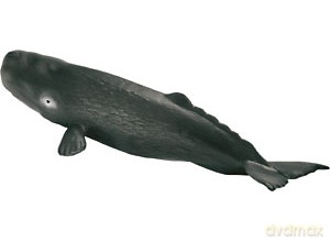SCHLEICH KASZALOT SAMICA 16095 [ZABAWKA]