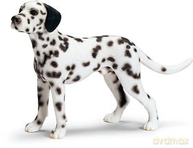 SCHLEICH DALMATYŃCZYK STOJACY 16346 [ZABAWKA]