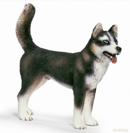 SCHLEICH PIES HUSKY 16371 [ZABAWKA]