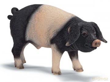 SCHLEICH KNUR SWABIANHALL new 2009 13643 [ZABAWKA]