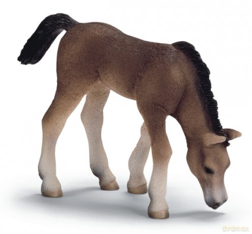 SCHLEICH ŹREBIĘ RASY ARABSKIEJ PASĄCE 09 13652 [ZABAWKA]