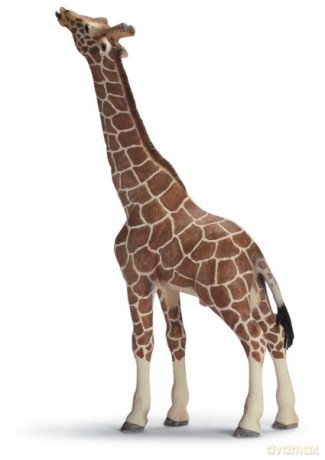 SCHLEICH SAMIEC ŻYRAFY, JEDZĄCY new 2009 14389 [ZABAWKA]