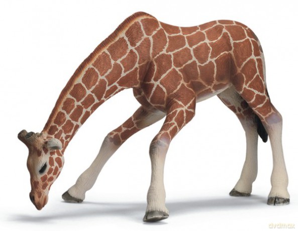 SCHLEICH ŻYRAFA SAMICA U WODOPOJU new 09 14390 [ZABAWKA]