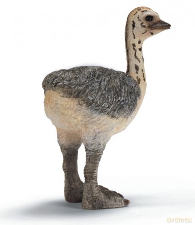 SCHLEICH MŁODY STRUŚ new 2009 14398 [ZABAWKA]