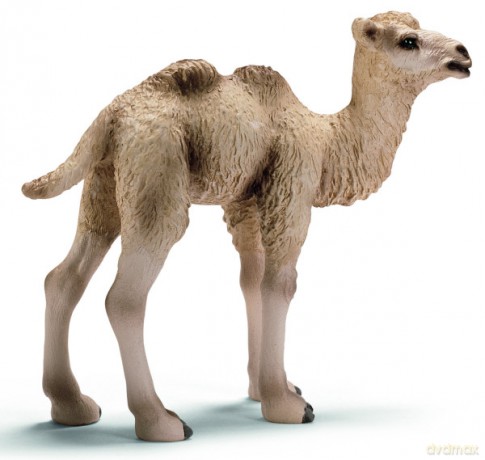 SCHLEICH WIELBŁĄD ŹREBIĘ new 2009 14602 [ZABAWKA]