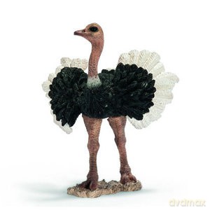 SCHLEICH STRUŚ, SAMIEC 14610 [ZABAWKA]