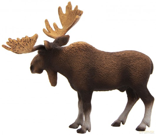 SCHLEICH ŁOŚ, SAMIEC new 2010 14619 [ZABAWKA]