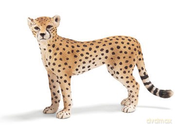 SCHLEICH GEPARD, SAMICA new 2010 14614 [ZABAWKA]
