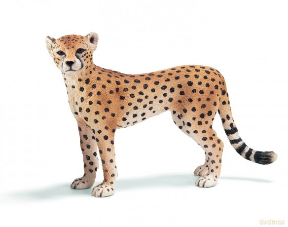 SCHLEICH GEPARD, SAMICA new 2010 14614 [ZABAWKA]