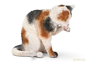 SCHLEICH KOT MYJĄCY SIĘ new 2011 13675 [ZABAWKA]