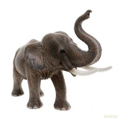 SCHLEICH Słoń Indyjski, samiec new 2012 14653 [ZABAWKA]
