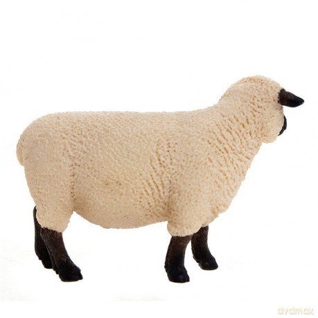 SCHLEICH Owca odmiana Shropshire 13681 [ZABAWKA]