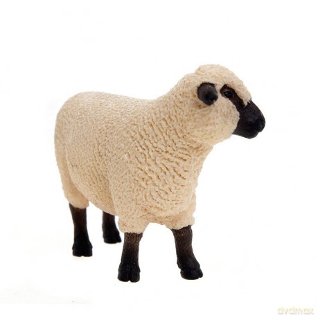 SCHLEICH Owca odmiana Shropshire 13681 [ZABAWKA]