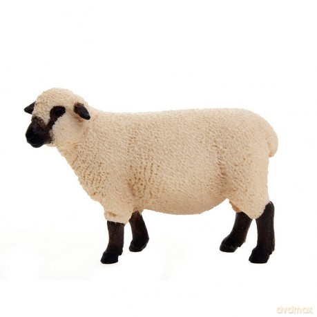 SCHLEICH Owca odmiana Shropshire 13681 [ZABAWKA]