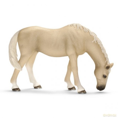 SCHLEICH Klacz rasy AkhalTeke 13701 [ZABAWKA]