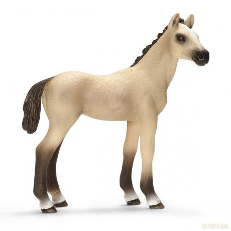 SCHLEICH Źrebię rasy AkhalTeke 13702 [ZABAWKA]