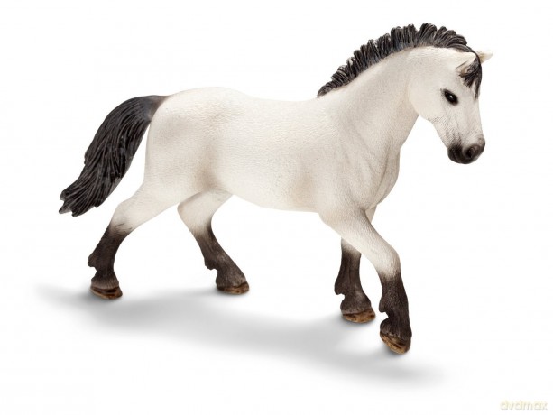 SCHLEICH Ogier rasy Camargue 13710 [ZABAWKA]