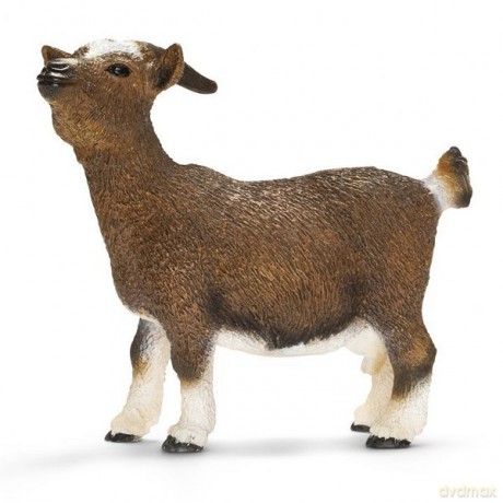 SCHLEICH Koza karłowata 13715 [ZABAWKA]