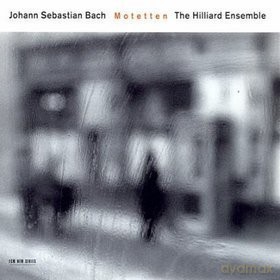 Hilliard Ensemble: Bach:Motets, Bwv 225-230 [CD]
