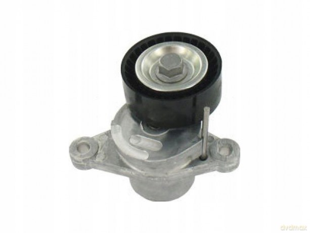 SKF VKM 33062 Rolka napinacza, pasek klinowy wielorowkowy Peugeot Citroen