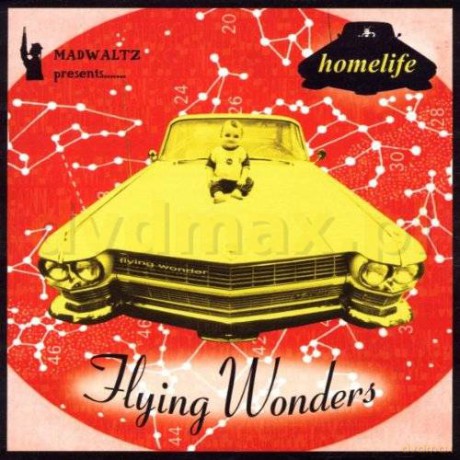 Homelife: Flying Wonders [CD]