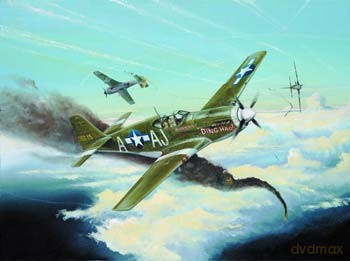 TRUMPETER P51B Mustang 2274 [MODELARSTWO]