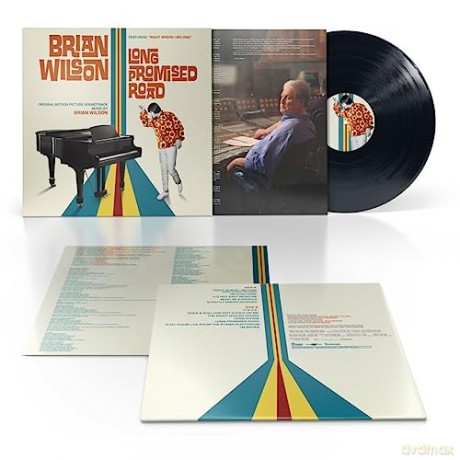 Brian Wilson: Brian Wilson: Long Promised Road [Winyl]