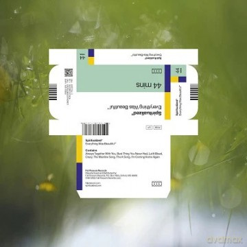 Spiritualized: Everything Was Beautiful (Japanese Version) [Winyl]