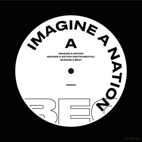 Gemini: Imagine A Nation [Winyl]