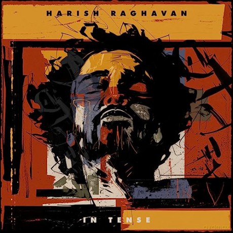 Harish Raghavan: In Tense [Winyl]