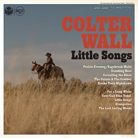 Colter Wall: Little Songs (Blue) [Winyl]