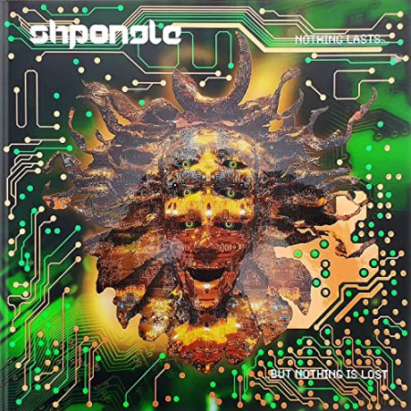 Shpongle: Nothing Lasts But Nothing Is Lost [2xWinyl]