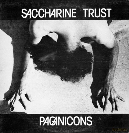 Saccharine Trust: Paganicons [Winyl]