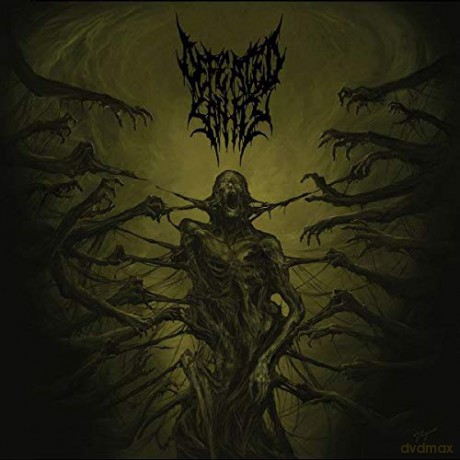 Defeated Sanity: Passages Into Deformity (Picture) [Winyl]