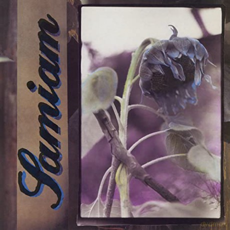 Samiam: Samiam (Clear) [Winyl]
