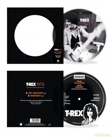 T. Rex: The Groover (50th Anniversary) (Picture) [Winyl]