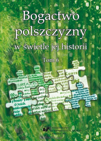 Bogactwo polszczyzny w świetle jej historii (Tom 6) - Joanna Przyklenk, Wioletta Wilczek [KSIĄŻKA]