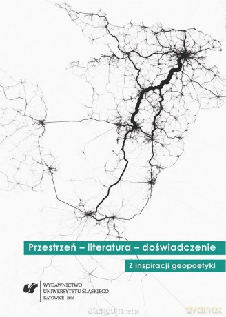 Przestrzeń literatura doświadczenie - Tomasz Gęsina, Zbigniew Kadłubek [KSIĄŻKA]