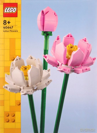 LEGO Creator 40647 Kwiaty lotosu